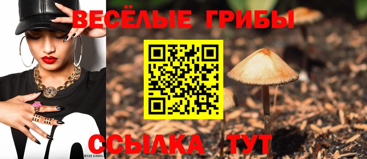 Заречный  Псилоцибиновые грибы Cubensis  Вход с VPN  Галлюциногенные грибы Cubensis 
