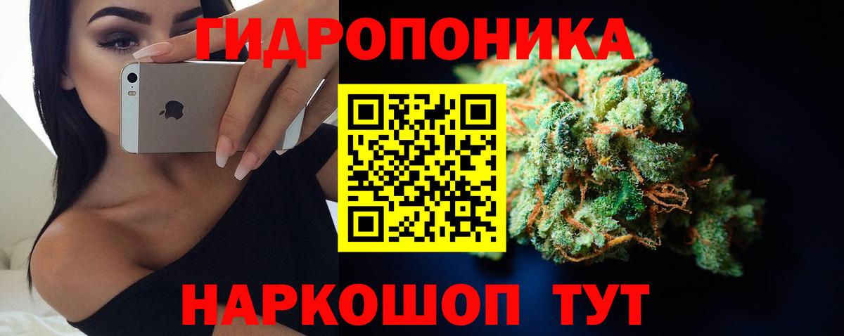 Марихуана планчик  МАРИХУАНА THC 21%  Марихуана тримм  Шишки марихуана конопля  Вход с VPN  Заречный 